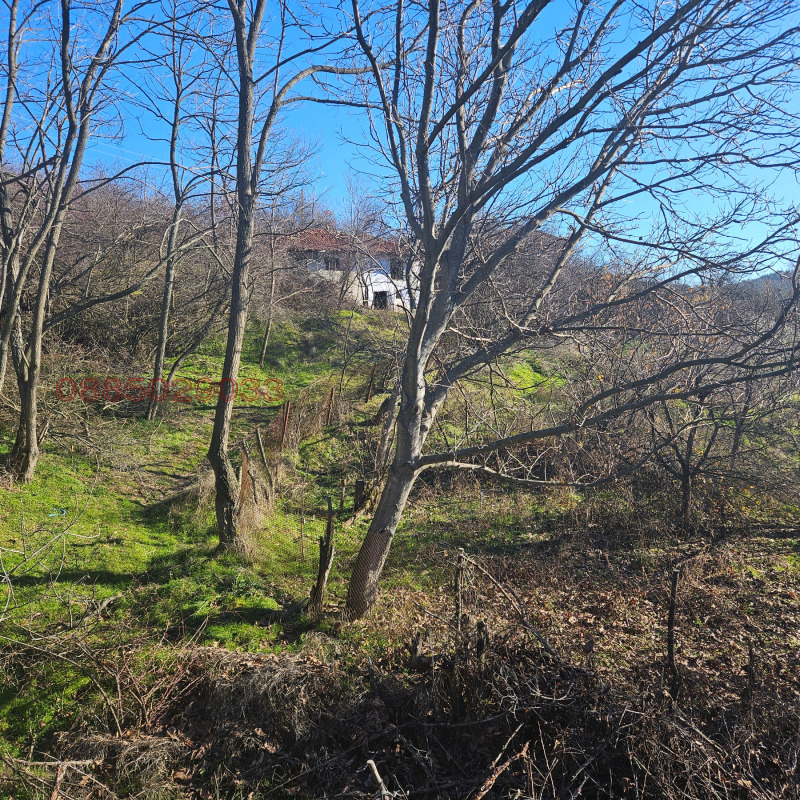 Продава ПАРЦЕЛ, с. Горна Василица, област София област, снимка 8 - Парцели - 52926315