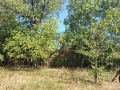 Продава  Парцел град Кюстендил , Върташево , 700 кв.м | 75412291 - изображение [6]