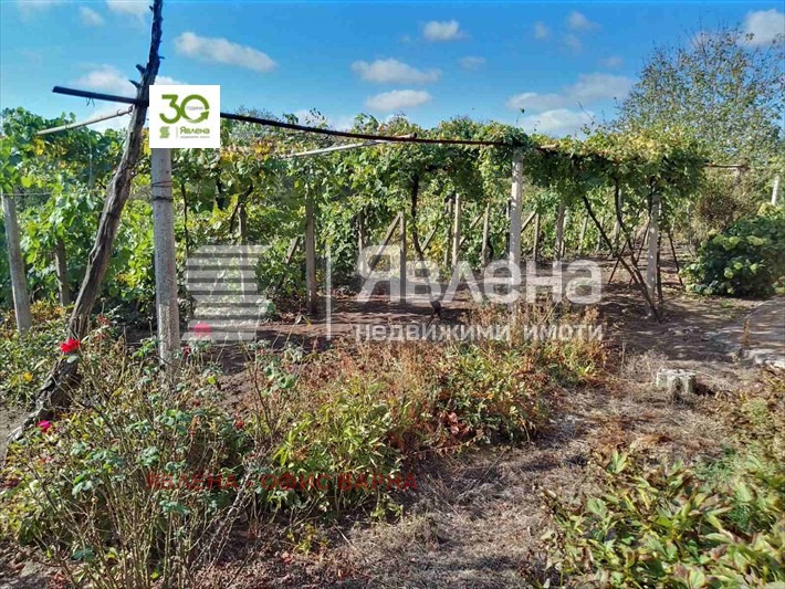 Til salgs  Hus region Dobrich , Belgun , 200 kvm | 59980531 - bilde [2]