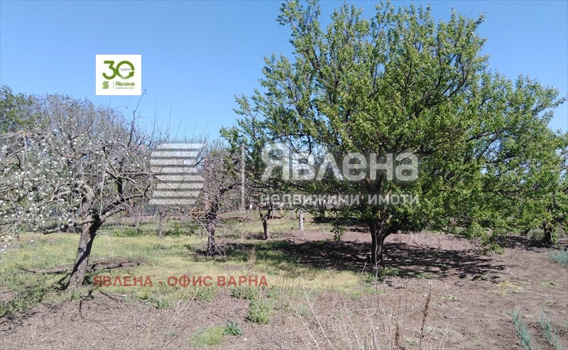 Til salgs  Hus region Dobrich , Belgun , 200 kvm | 59980531 - bilde [7]