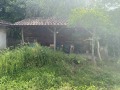 Продава  Къща област Плевен , с. Милковица , 80 кв.м | 63759153 - изображение [6]