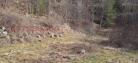 ������� ���������� ���� | Imot.bg � ����� ������ 11