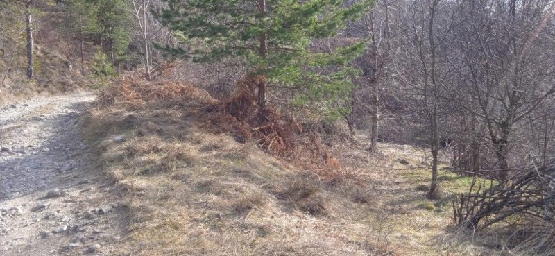 Продава ЗЕМЕДЕЛСКА ЗЕМЯ, с. Кремене, област Смолян, снимка 7 - Земеделска земя - 53205111