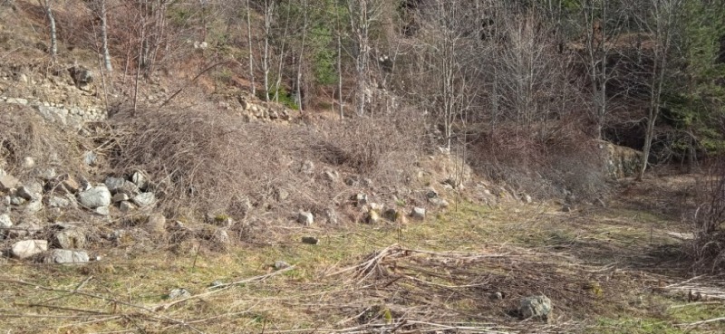 Продава ЗЕМЕДЕЛСКА ЗЕМЯ, с. Кремене, област Смолян, снимка 8 - Земеделска земя - 53205111