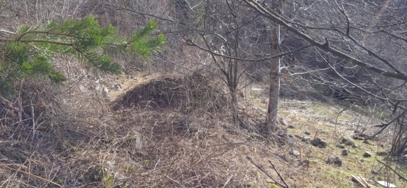 Продава ЗЕМЕДЕЛСКА ЗЕМЯ, с. Кремене, област Смолян, снимка 10 - Земеделска земя - 53205111