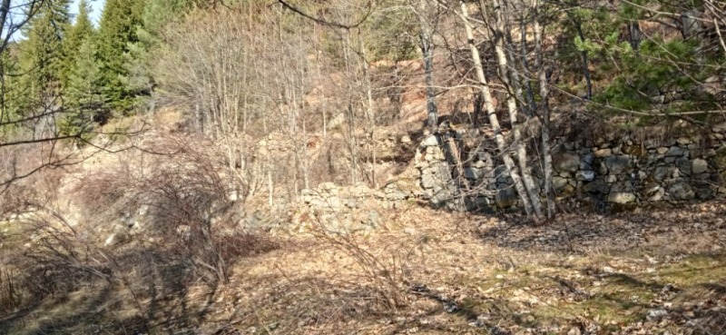 Продава ЗЕМЕДЕЛСКА ЗЕМЯ, с. Кремене, област Смолян, снимка 6 - Земеделска земя - 53205111