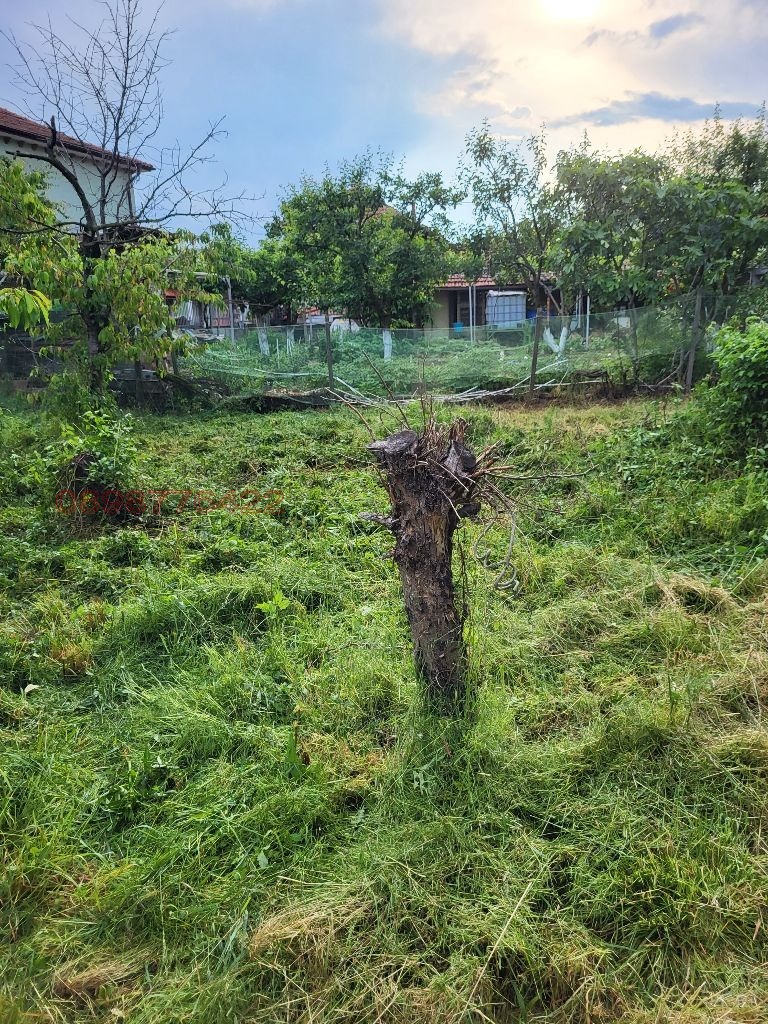 ������� ���� | Imot.bg � ����������� 16