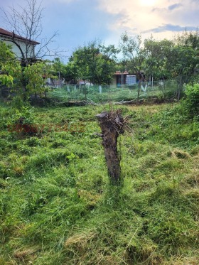 ������� ���� | Imot.bg � ����� ������ 16