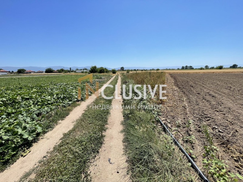 Na prodej  Spiknutí oblast Plovdiv , Benkovski , 3501 m2 | 97095083 - obraz [7]