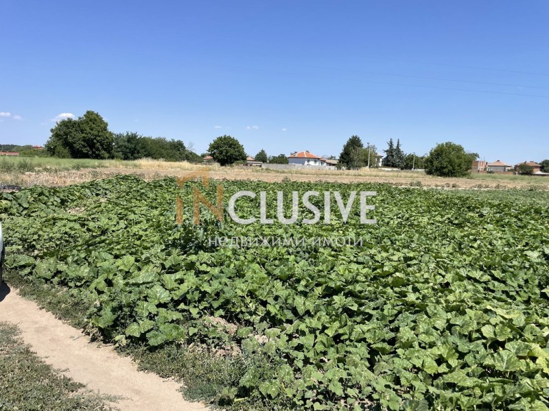 Na prodej  Spiknutí oblast Plovdiv , Benkovski , 3501 m2 | 97095083 - obraz [4]
