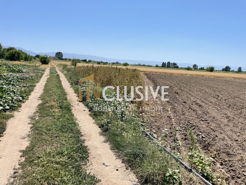 Na prodej  Spiknutí oblast Plovdiv , Benkovski , 3501 m2 | 97095083 - obraz [6]