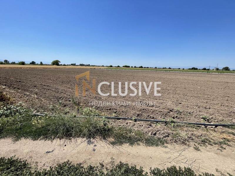 Na prodej  Spiknutí oblast Plovdiv , Benkovski , 3501 m2 | 97095083 - obraz [8]