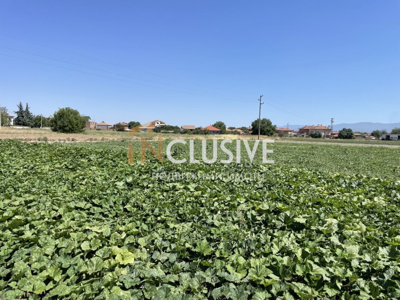 Na prodej  Spiknutí oblast Plovdiv , Benkovski , 3501 m2 | 97095083 - obraz [3]