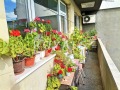 Продава  4-стаен град Варна , Окръжна болница-Генерали , 102 кв.м | 49515516 - изображение [6]