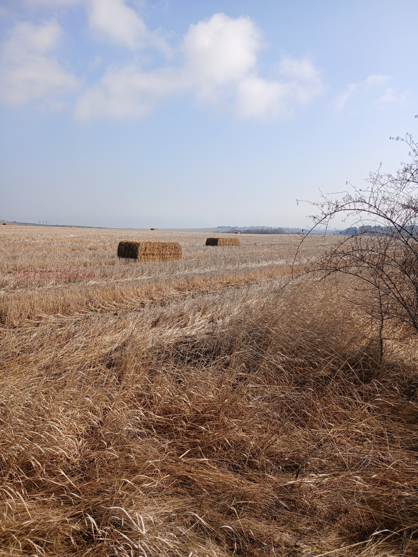 ������� ������ | Imot.bg � ����������� 12