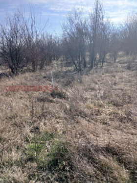 ������� ������ | Imot.bg � ����� ������ 2