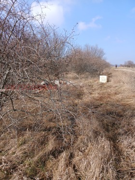 ������� ������ | Imot.bg � ����� ������ 15