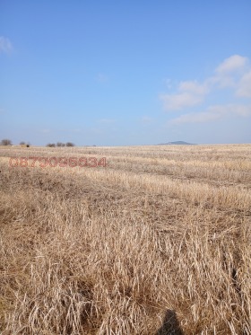 ������� ������ | Imot.bg � ����� ������ 8