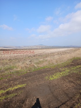 ������� ������ | Imot.bg � ����� ������ 9