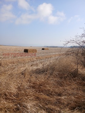 ������� ������ | Imot.bg � ����� ������ 12