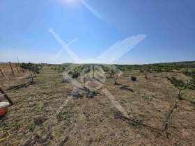 ����� ������� ���������� ����,�. �������, ������ ������