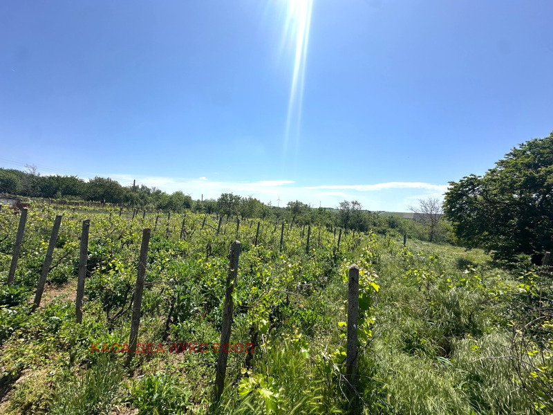 À vendre  Maison région de Dobritch , Nova Kamena , 80 m² | 55916242 - image [7]