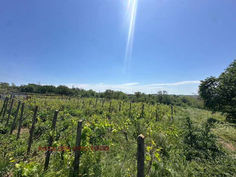 À vendre  Maison région de Dobritch , Nova Kamena , 80 m² | 55916242 - image [6]