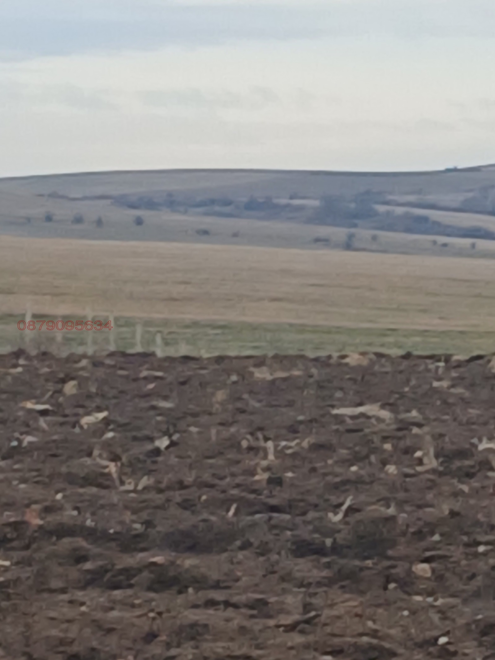 Продава ПАРЦЕЛ, гр. София, гр. Банкя, снимка 3 - Парцели - 53622616