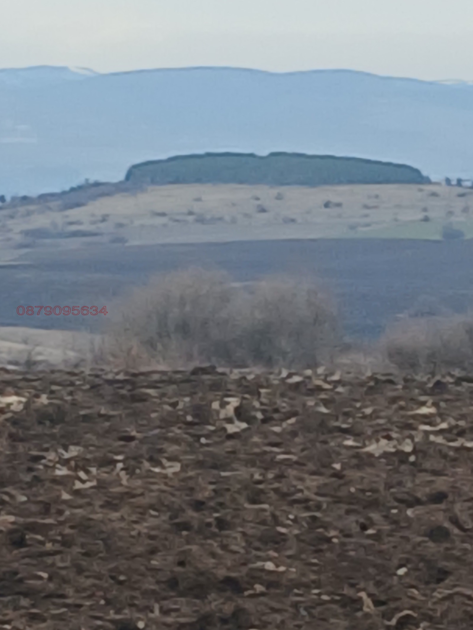 Продава ПАРЦЕЛ, гр. София, гр. Банкя, снимка 2 - Парцели - 53622616