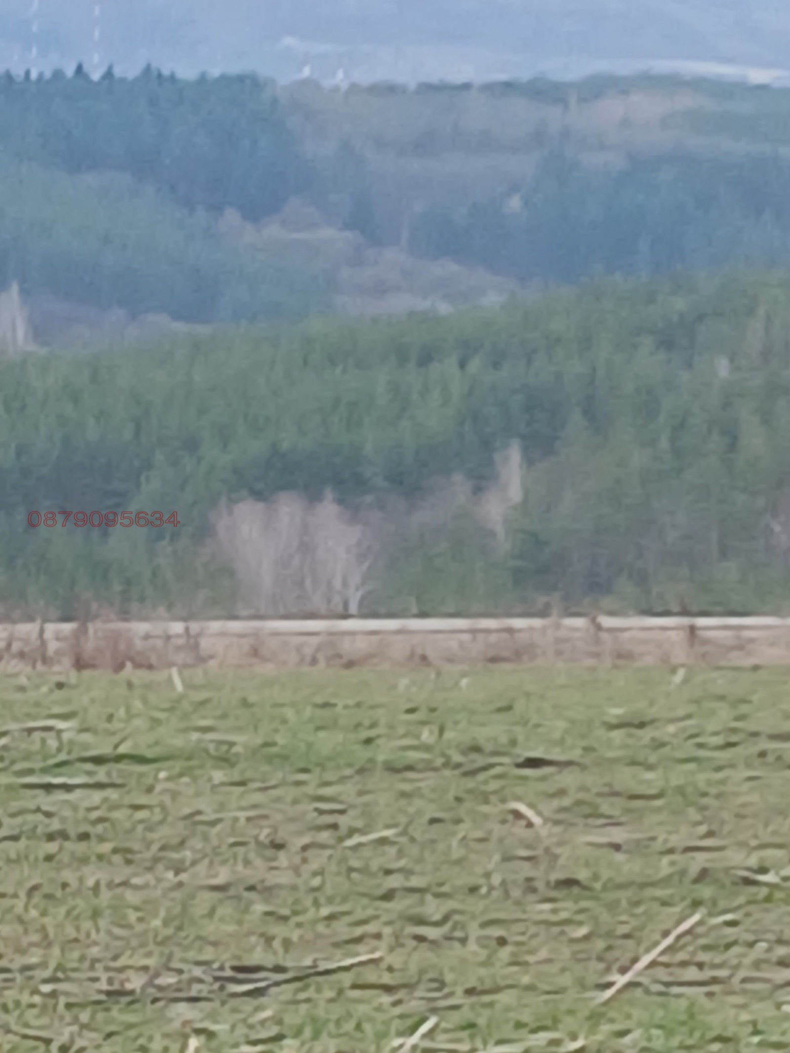 Продава ПАРЦЕЛ, гр. София, гр. Банкя, снимка 8 - Парцели - 53622616