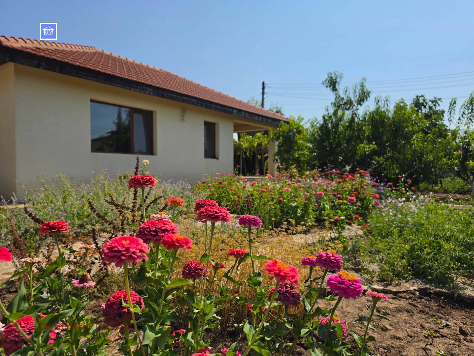 ������� ���� | Imot.bg � ����������� 1