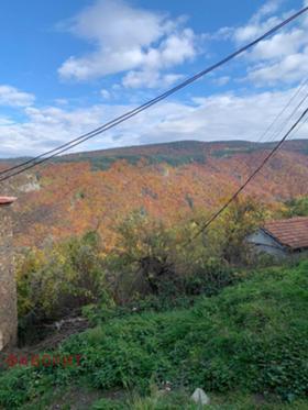 Hus Dedevo, region Plovdiv 6