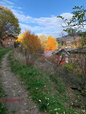 Hus Dedevo, region Plovdiv 2