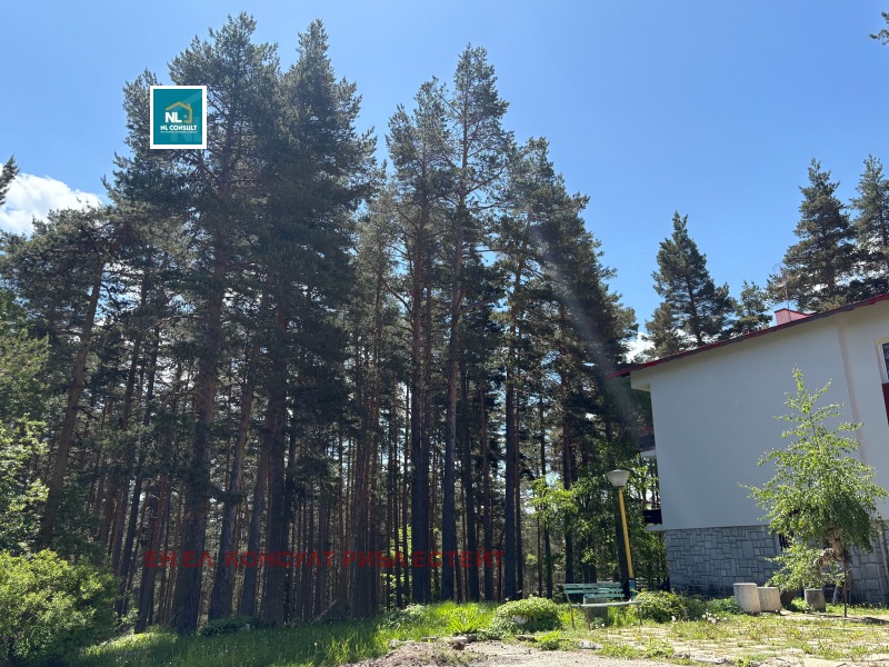 En venta  Hotel región Plovdiv , jizha Zdravets , 8786 metros cuadrados | 77112143 - imagen [12]