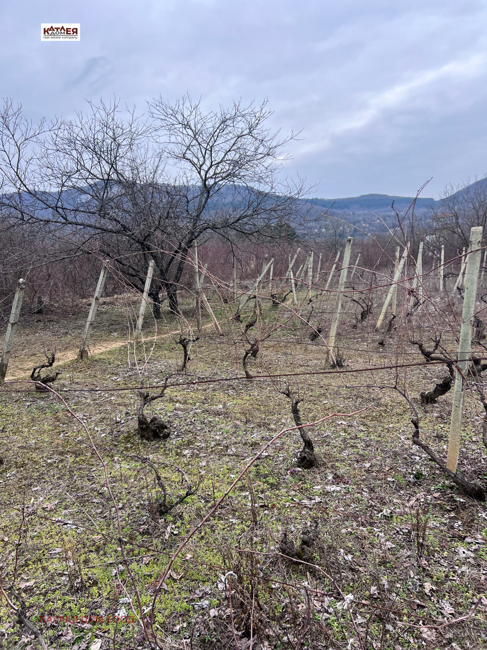 ������� ���� | Imot.bg � ����������� 5