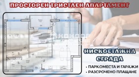 ����� ������� 3-�����,���� �������, ���������