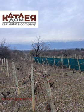 ������� ���� | Imot.bg � ����� ������ 7