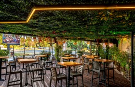 ����� ������� ���������,���� �����, ������