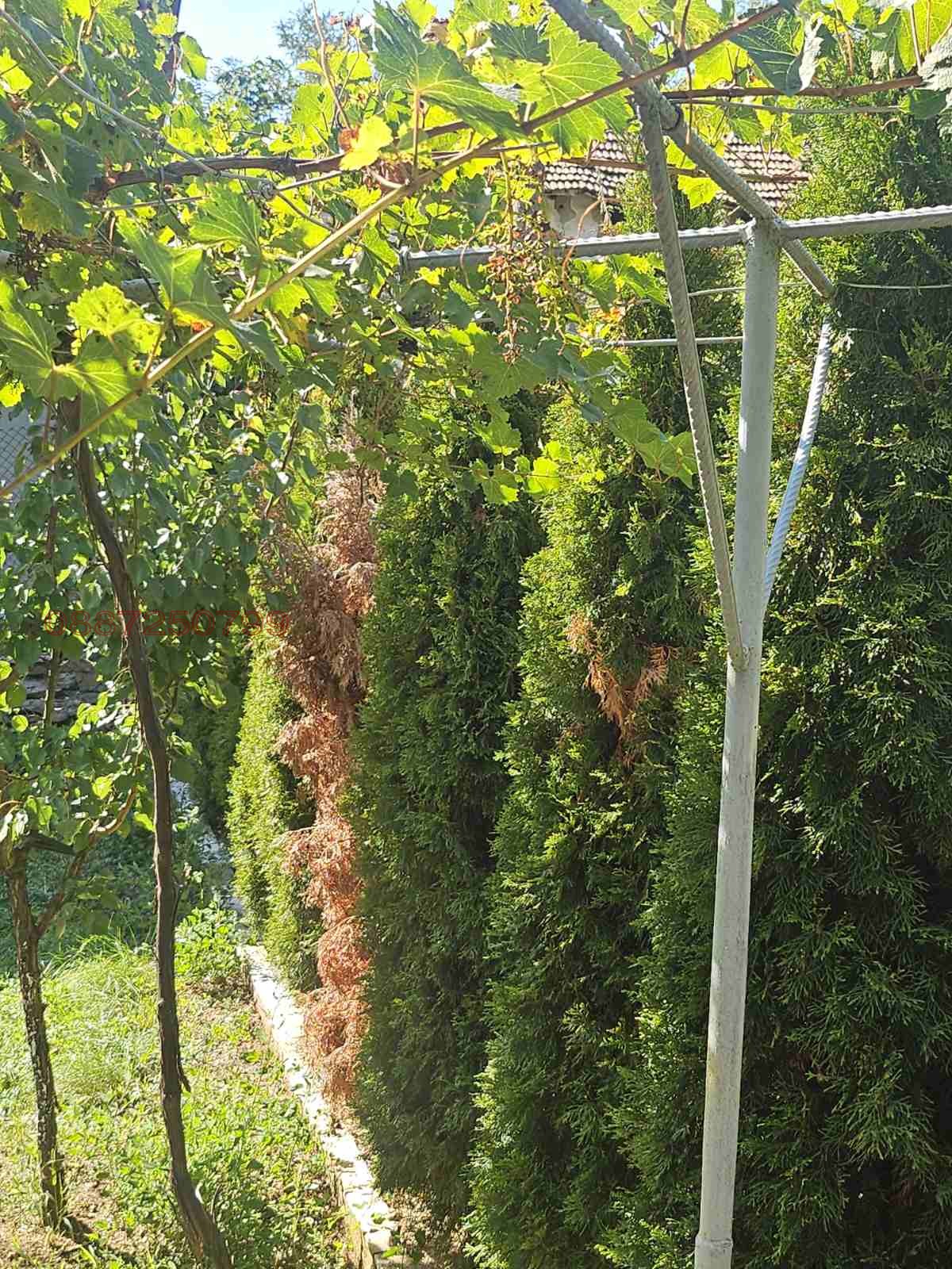 Продава КЪЩА | Imot.bg — изображение 7