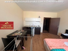 Studio Bansko, region Blagoevgrad 6