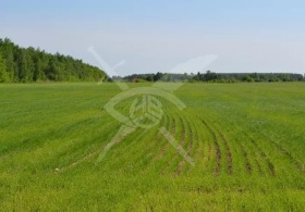 ����� ������� ������,���� ������, �. ��������