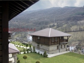 ����� ������� ����� ������,�. ����� �����, ������ �����