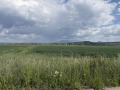 Продава ПАРЦЕЛ, с. Храбърско, област София област, снимка 4
