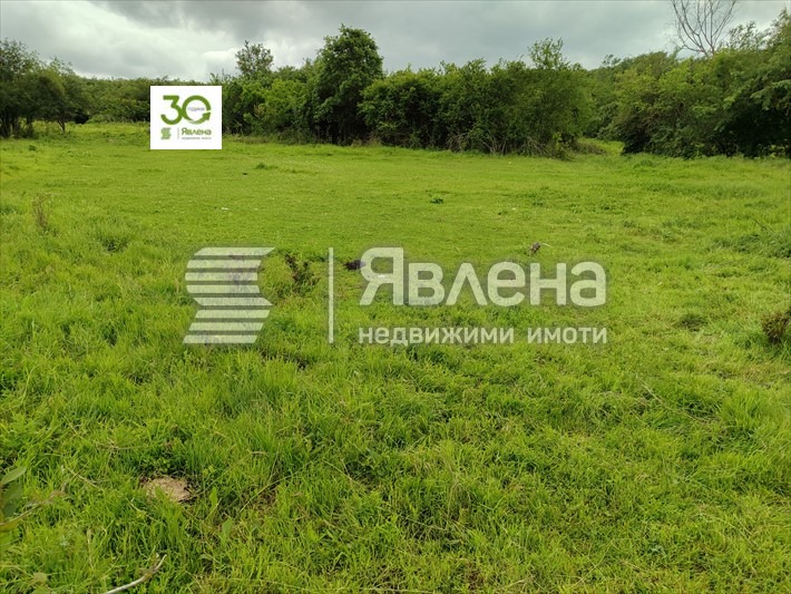 Продава ПАРЦЕЛ, с. Горен чифлик, област Варна, снимка 4 - Парцели - 48804817