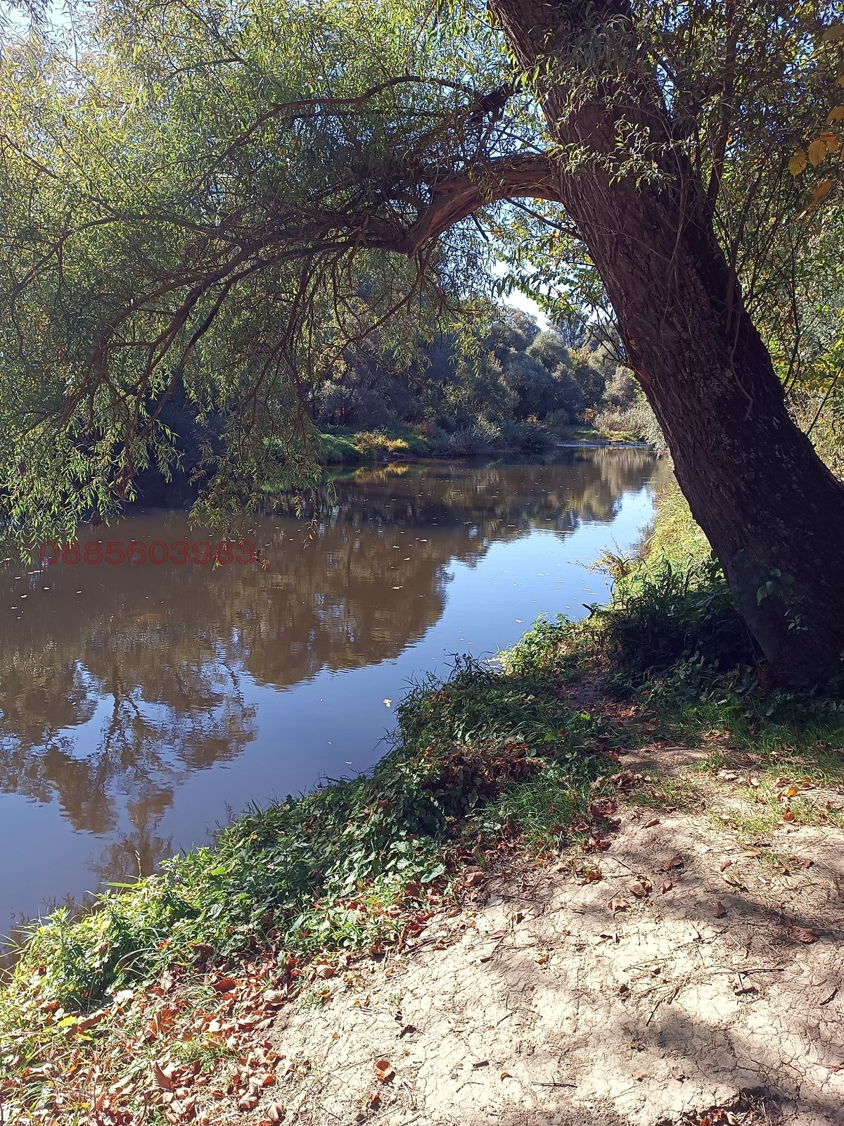 ������� ���� | Imot.bg � ����������� 15