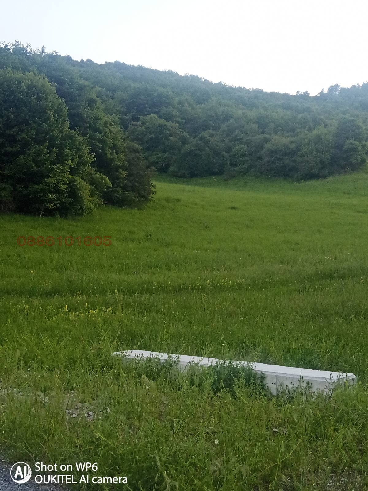 ������� ���� | Imot.bg � ����������� 17