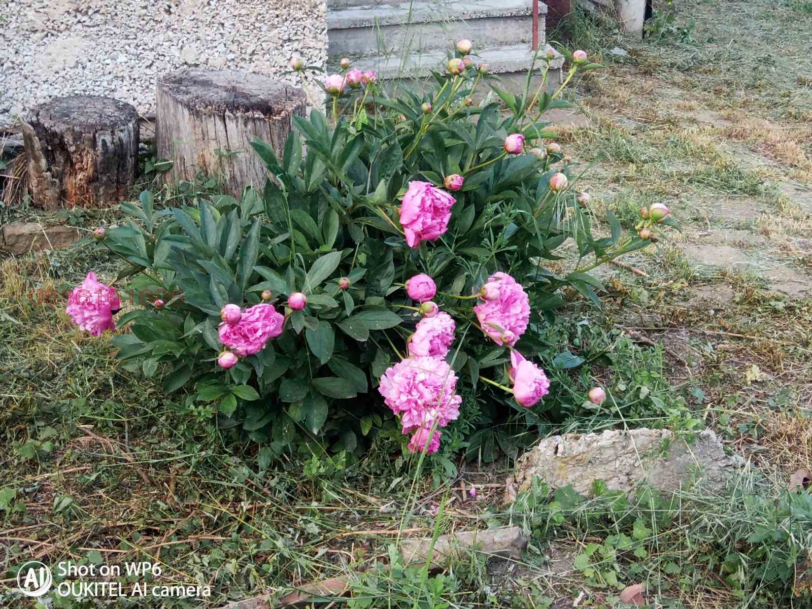 ������� ���� | Imot.bg � ����������� 10