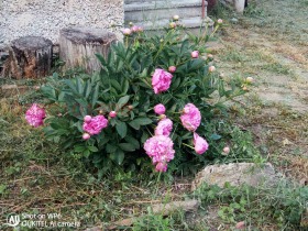 ������� ���� | Imot.bg � ����� ������ 11