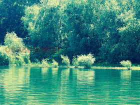   | Imot.bg    5