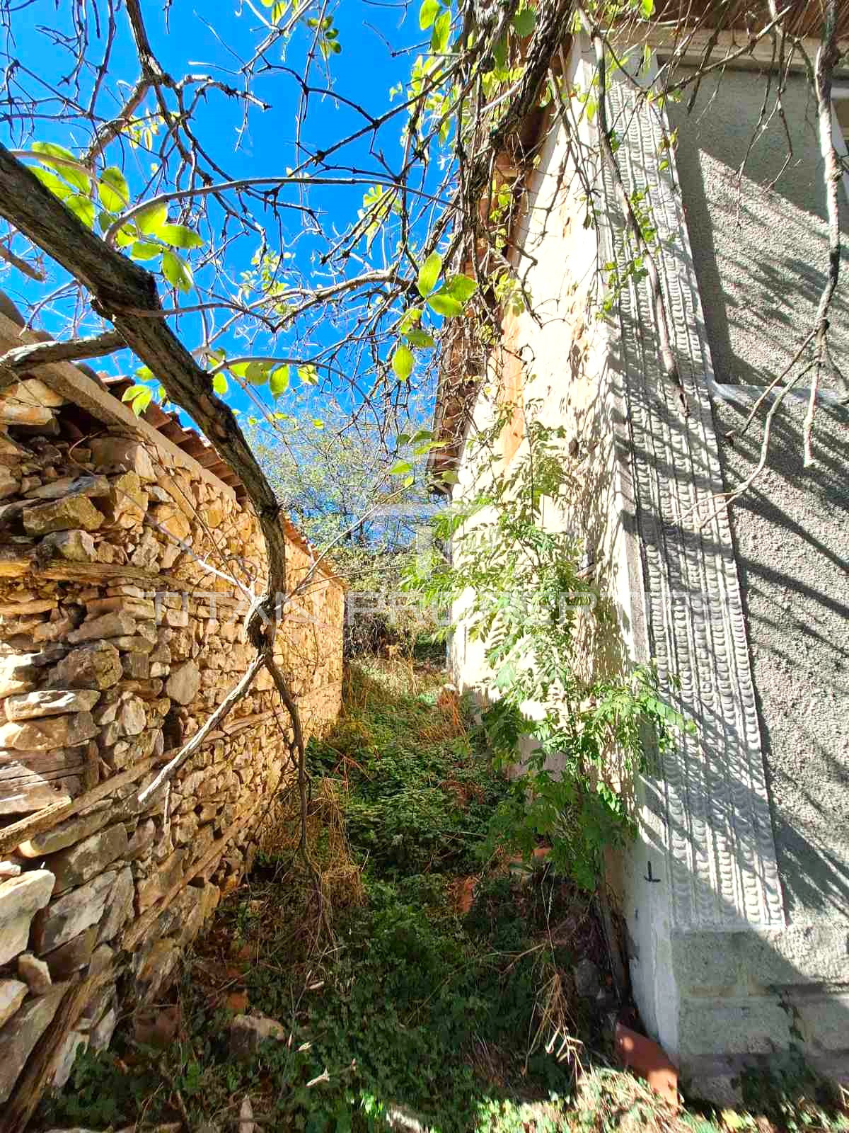 Продава КЪЩА, с. Добростан, област Пловдив, снимка 9 - Къщи - 47676262